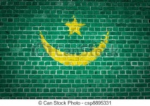 DECLARATION: COMITE POUR LA DEFENSE DES LIBERTES EN MAURITANIE (C.D.L.M) DECLARATION: COMITE POUR LA DEFENSE DES LIBERTES EN MAURITANIE (C.D.L.M)