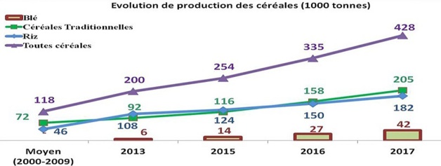 Agriculture-Mauritanie: 2/3 des terres arables improductives pour la dernière campagne ridicule de 2016 Agriculture-Mauritanie: 2/3 des terres arables improductives pour la dernière campagne ridicule de 2016