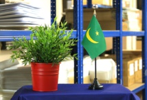 CHANGEMENT DES COULEURS DU DRAPEAU NATIONAL, QUAND…