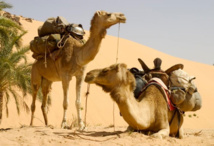 D’un Système beïdane à une Histoire beïdane : Des choix injustes, qui divisent et qui fâchent D’un Système beïdane à une Histoire beïdane : Des choix injustes, qui divisent et qui fâchent