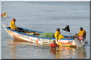 Le ministre des pêches mauritanien insiste sur la mise en œuvre de la nouvelle stratégie de pêche Le ministre des pêches mauritanien insiste sur la mise en œuvre de la nouvelle stratégie de pêche