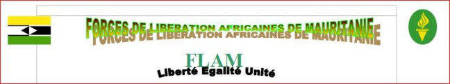 34° anniversaire des Forces de Libération Africaines de Mauritanie 34° anniversaire des Forces de Libération Africaines de Mauritanie