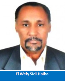 Tradition politique déficiente?/El Wely Sidi Haiba Tradition politique déficiente?/El Wely Sidi Haiba