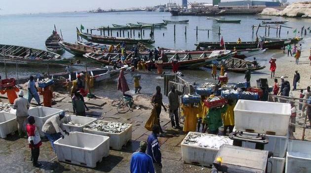 Nouadhibou : le capitaine d’une embarcation arrêté par la police chargée de lutter contre le trafic Nouadhibou : le capitaine d’une embarcation arrêté par la police chargée de lutter contre le trafic