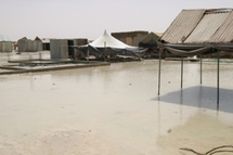 Inondation à Rosso : Un mort et plus de 3000 sans abris Inondation à Rosso : Un mort et plus de 3000 sans abris