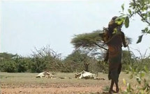 Des millions de personnes menacées de famine Des millions de personnes menacées de famine