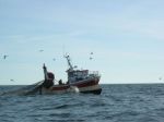 Un commandant gagne 7 million d'euros quand il "surveille" le littoral Un commandant gagne 7 million d'euros quand il "surveille" le littoral