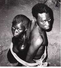 L’Africanité n’est couleur d’humains ou d’espèces vivantes. L’Africanité n’est couleur d’humains ou d’espèces vivantes.