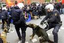 La police mauritanienne va utiliser des chiens policiers La police mauritanienne va utiliser des chiens policiers