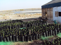 De l’eau de mer pour reboiser Nouakchott : Est-ce possible ? De l’eau de mer pour reboiser Nouakchott : Est-ce possible ?