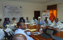 Mauritanie/Union Européenne : Restitution des diagnostics du RIMRAP au Hodh Elgharbi en prélude au RIMDIR et au RIMFIL Mauritanie/Union Européenne : Restitution des diagnostics du RIMRAP au Hodh Elgharbi en prélude au RIMDIR et au RIMFIL