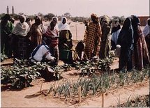 Mauritanie: Arrestation des femmes négro-mauritaniennes de Fada Mauritanie: Arrestation des femmes négro-mauritaniennes de Fada