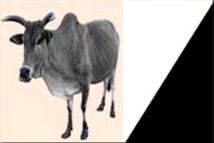 Mauritanie : Le discours du Président Ibrahima Moctar SARR Mauritanie : Le discours du Président Ibrahima Moctar SARR