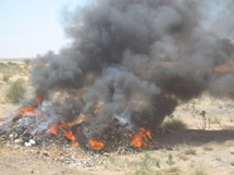 900 tonnes de produits périmés incinerés