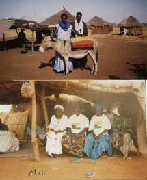 Après lʼexil, la désillusion