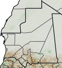 Mauritanie: Hausse de plus de 40% des prix des aliments de bétail Mauritanie: Hausse de plus de 40% des prix des aliments de bétail
