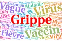 Mauritanie: le gouvernement alerte sur une épidémie de grippe (document officiel)