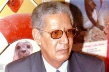 La Mauritanie sous Ould Abdel Aziz, Un Etat spectacle