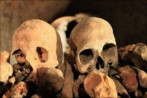 Communiqué des Flam sur les macabres découvertes de squelettes humains près de Choum