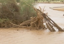 Assaba/Climat : Un mort et plusieurs blessés des suites de pluies et vents