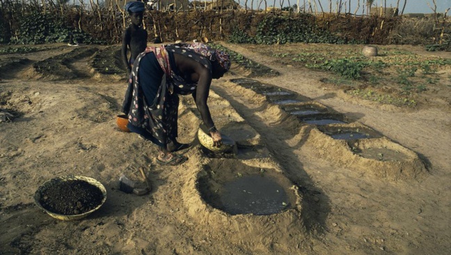 Mauritanie: une femme à la tête du tribunal du travail de Nouakchott Mauritanie: une femme à la tête du tribunal du travail de Nouakchott