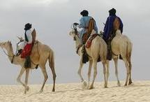 Les cheikhs de Tombouctou déposent plainte