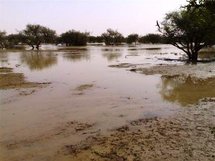 Des pluies torrentielles enregistrées jeudi font des dégâts considérables dans la wilaya du tagant centre mauritanien