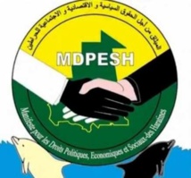 Mauritanie : le manifeste des Haratines demande aux partis politiques de tenir compte des diversités lors des candidatures Mauritanie : le manifeste des Haratines demande aux partis politiques de tenir compte des diversités lors des candidatures