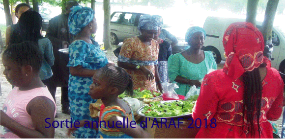 La sortie annuelle de l’Association des Ressortissants d'Aére Mbar en France (ARAF).