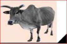 AJD/MR : Remerciements aux FPC AJD/MR : Remerciements aux FPC