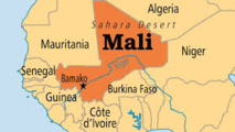 Présidentielle malienne : des recours devant la Cour constitutionnelle
