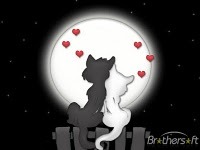 Un remaniement digne de Taya !