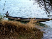 Le nègre se défoule