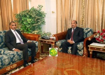 Bricolage gouvernemental Bricolage gouvernemental