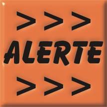 REME : APPEL DE LA DIASPORA