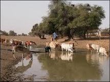 Mauritanie:Monguel: Forage ou expropriation?