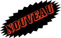 Conseil des ministres : Le président Ould Abdel Aziz appelle à réactiver la loi de lutte contre les pratiques liées aux survivances de l’esclavage