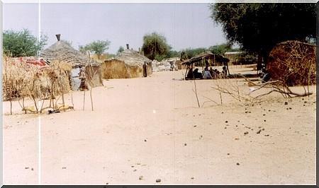 Communiqué : Assemblée générale annuelle des Réfugiés Mauritaniens du Sénégal (photos)