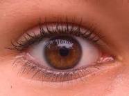 ﻿Loeil du philosophe: AUX RIVAGES DE LA MESQUINERIE