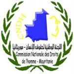 Rapport annuel de la CNDHز «Transférer du champ politique et polémique les allégations d’esclavage au champ judiciaire… "