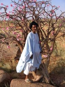 Aux morts on doit le respect , aux vivants on doit la vérité .