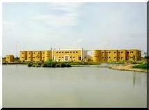 Communiqué : « Grève des enseignants de l’ISET de Rosso »