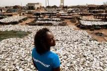 Vie de la nation : à quand la pèche profitera-t-elle au peuple mauritanien ?