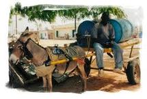 Un ressortissant malien est mort par électrocution dans le quartier de la « Socogim k »