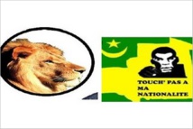 Communiqué conjoint direction de la campagne du candidat Biram Dah Abeid et TPN Communiqué conjoint direction de la campagne du candidat Biram Dah Abeid et TPN