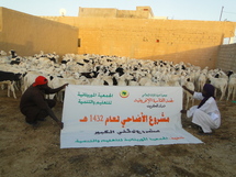 L’institut Dar El Hadith au chevet des nécessiteux pendant  la fête de Tabaski.