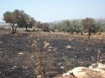 Bababé : Quatre mauritaniens d’une même famille rapatriés du Sénégal,perissent dans un incendie