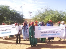 Les  chefs des 46 sites des Rapatriés du Brakna expriment leur mécontentement