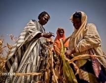 Baba Maal : "Nous ne pouvons rester sans rien faire" au Sahel