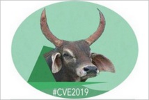 La CHARTE de la CVE : une nouvelle étape franchie dans notre vision de la reconstruction du pays. La CHARTE de la CVE : une nouvelle étape franchie dans notre vision de la reconstruction du pays.